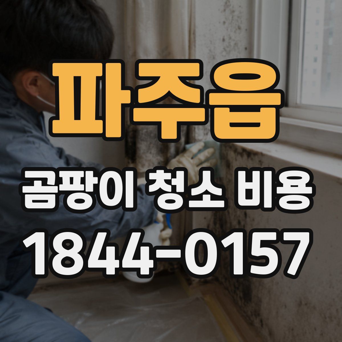 파주읍 곰팡이 청소 비용