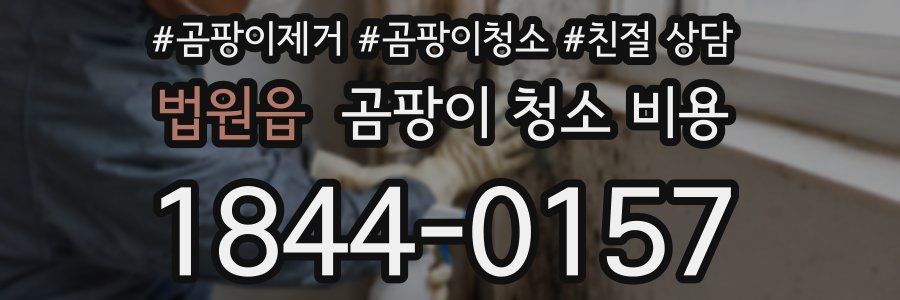 법원읍 곰팡이 청소 비용