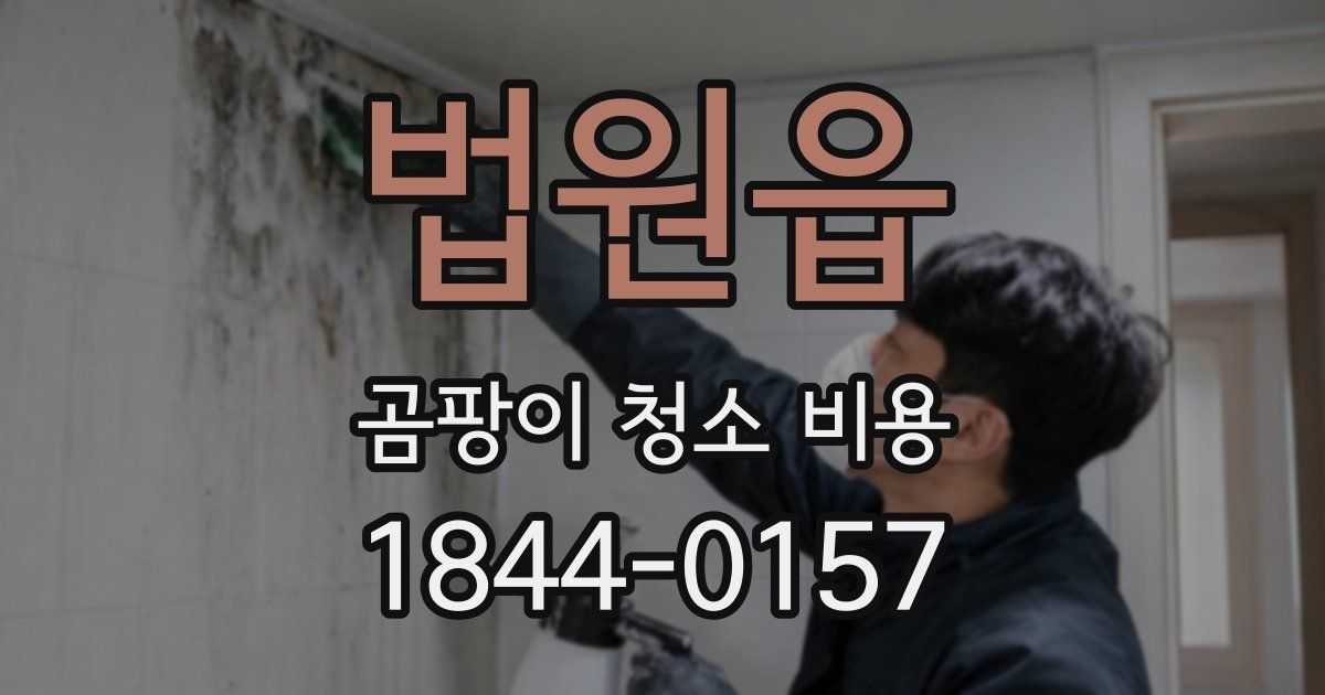 법원읍 곰팡이 청소 비용