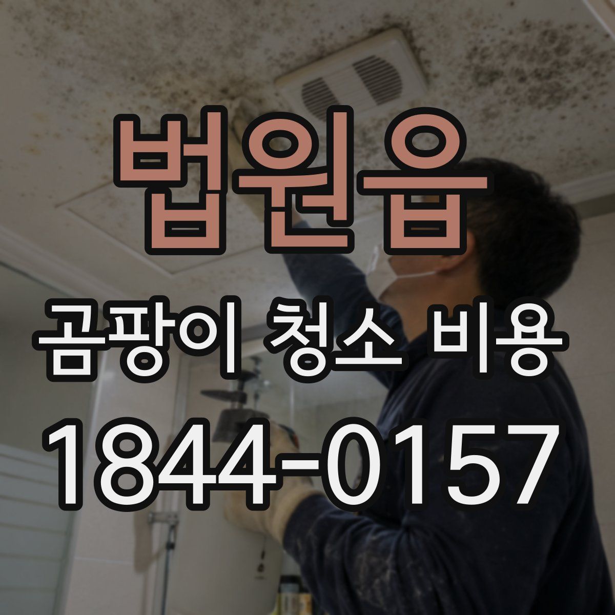 법원읍 곰팡이 청소 비용