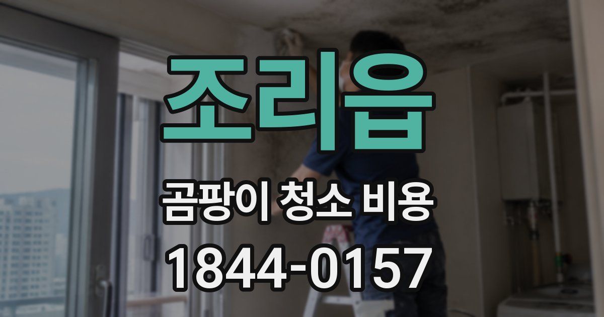조리읍 곰팡이 청소 비용