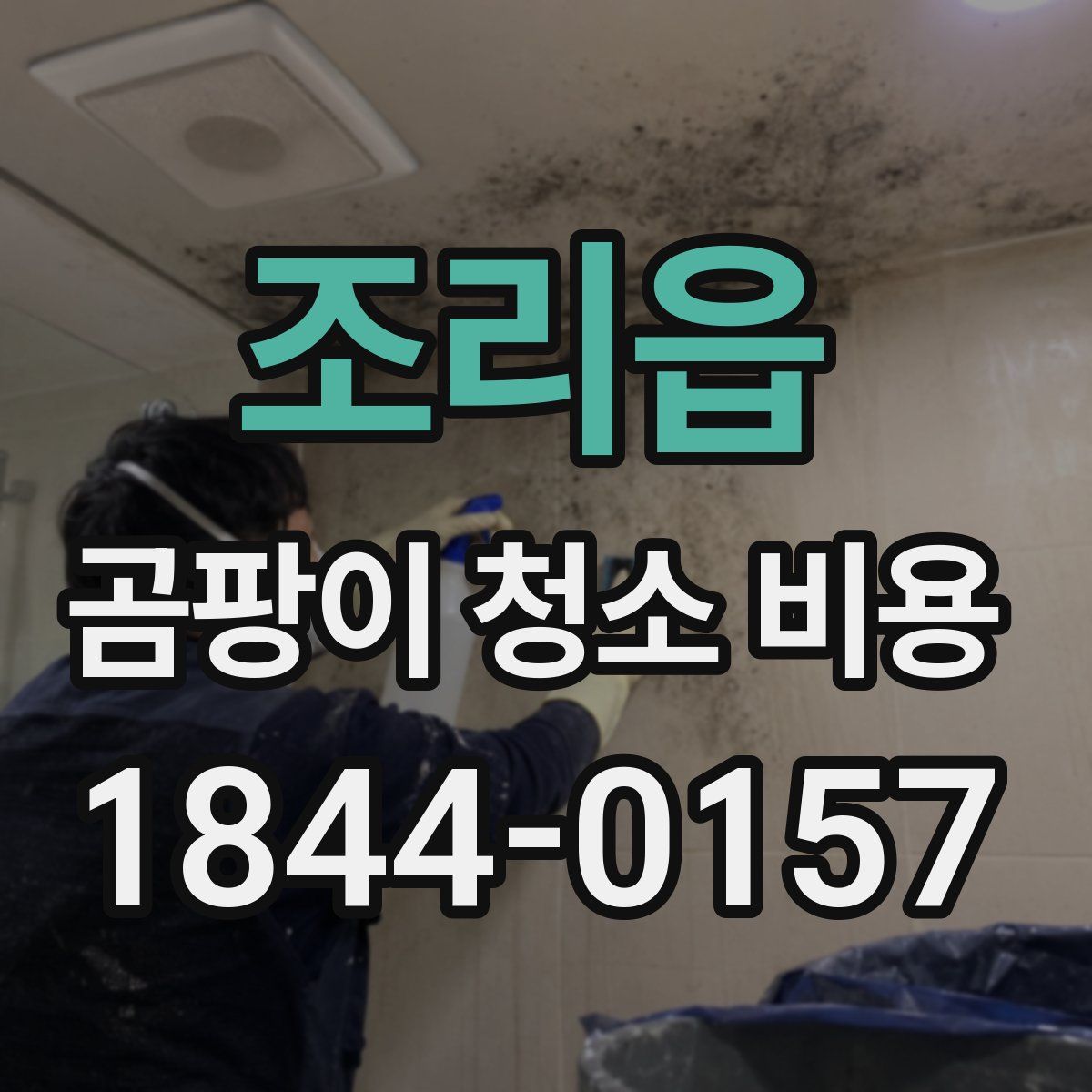 조리읍 곰팡이 청소 비용