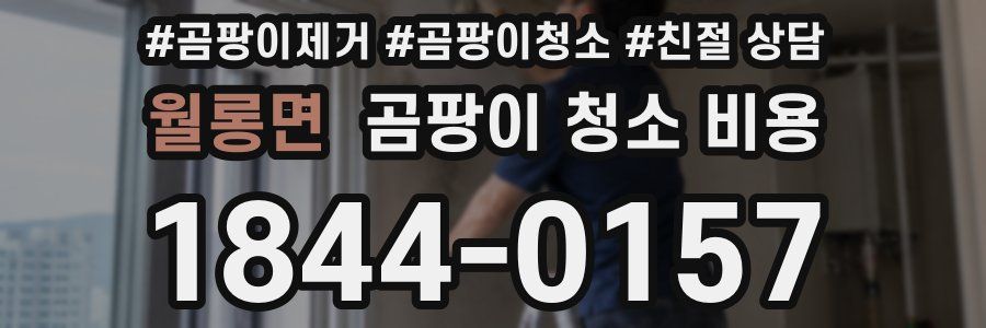 월롱면 곰팡이 청소 비용