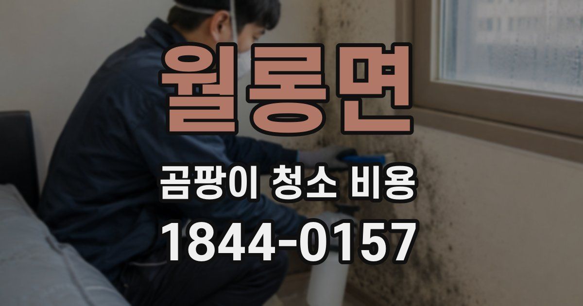 월롱면 곰팡이 청소 비용