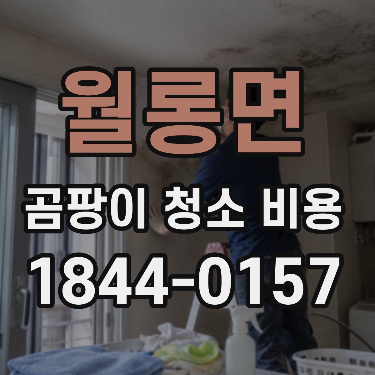 월롱면 곰팡이 청소 비용