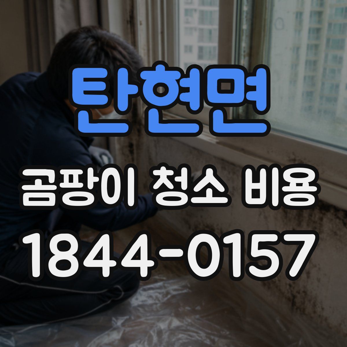 탄현면 곰팡이 청소 비용