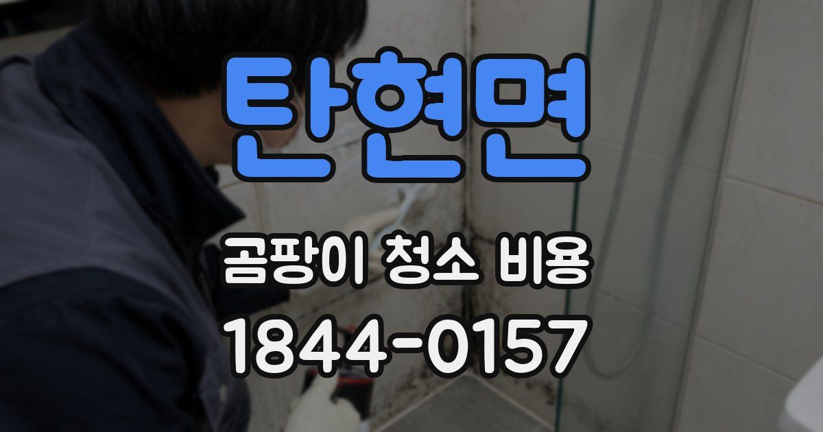탄현면 곰팡이 청소 비용
