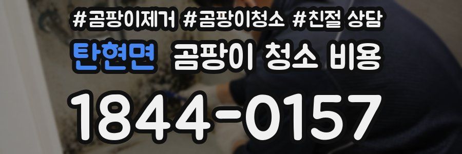 탄현면 곰팡이 청소 비용