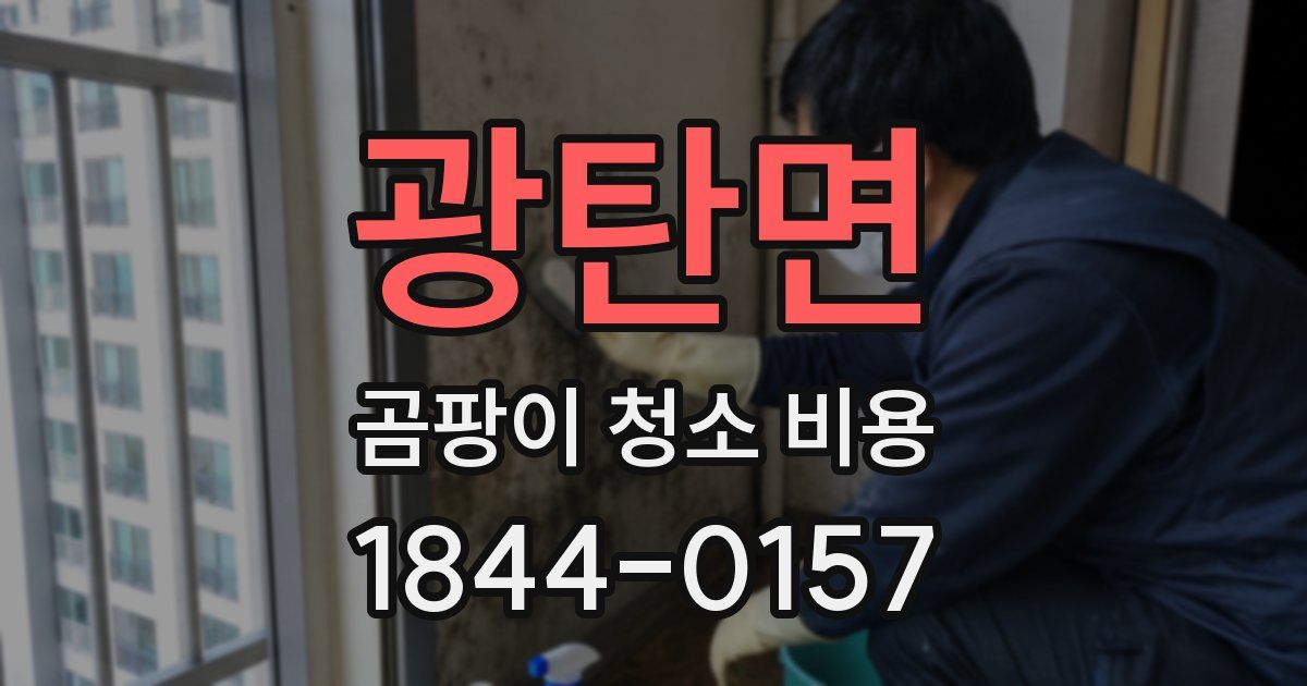 광탄면 곰팡이 청소 비용