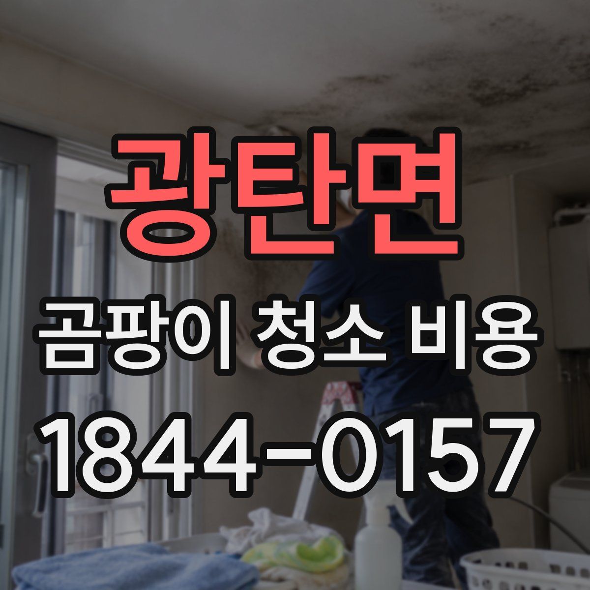 광탄면 곰팡이 청소 비용