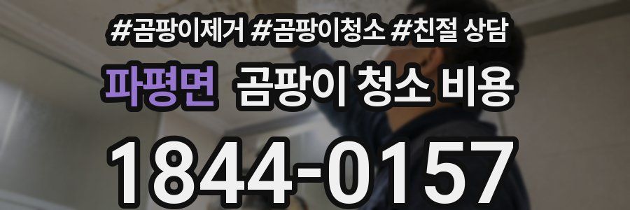 파평면 곰팡이 청소 비용