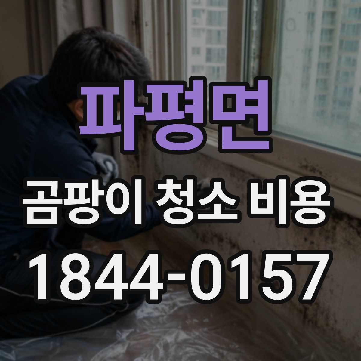파평면 곰팡이 청소 비용