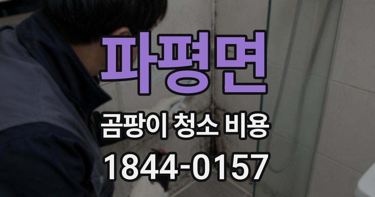파평면 곰팡이 청소 비용