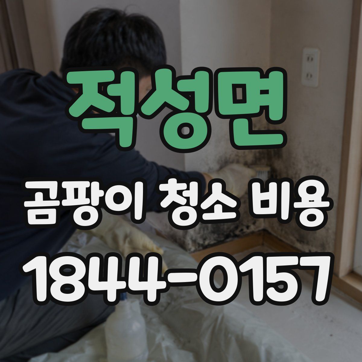 적성면 곰팡이 청소 비용