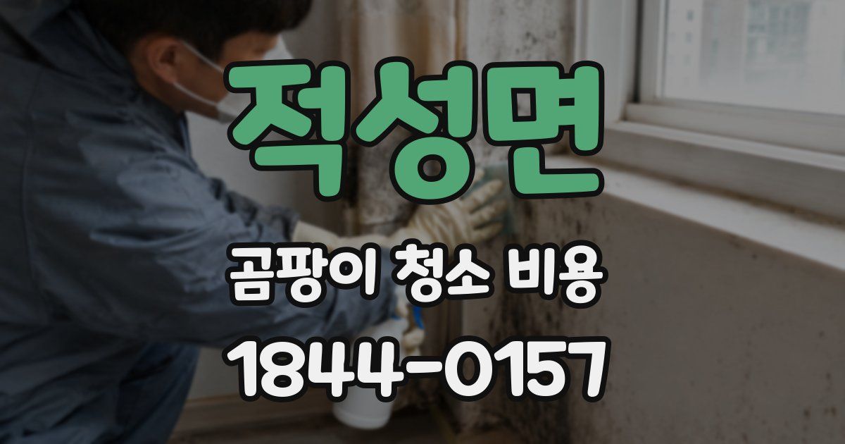 적성면 곰팡이 청소 비용