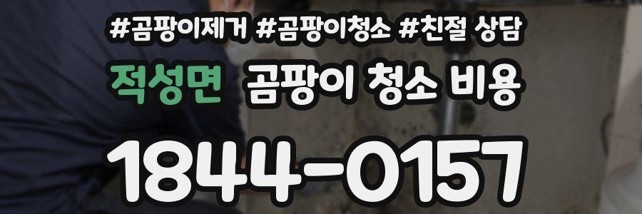 적성면 곰팡이 청소 비용