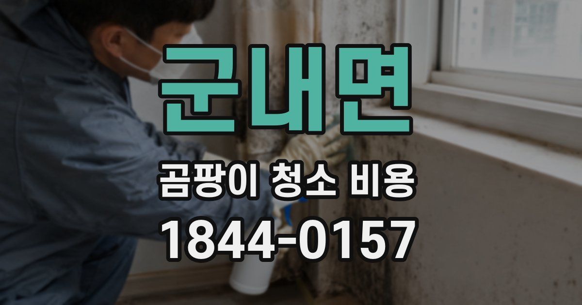군내면 곰팡이 청소 비용