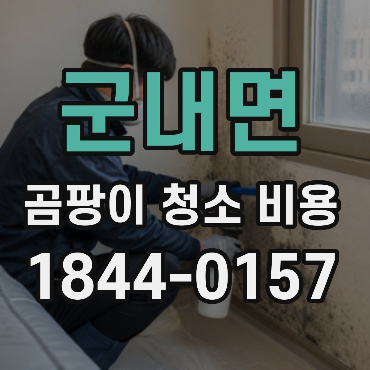 군내면 곰팡이 청소 비용