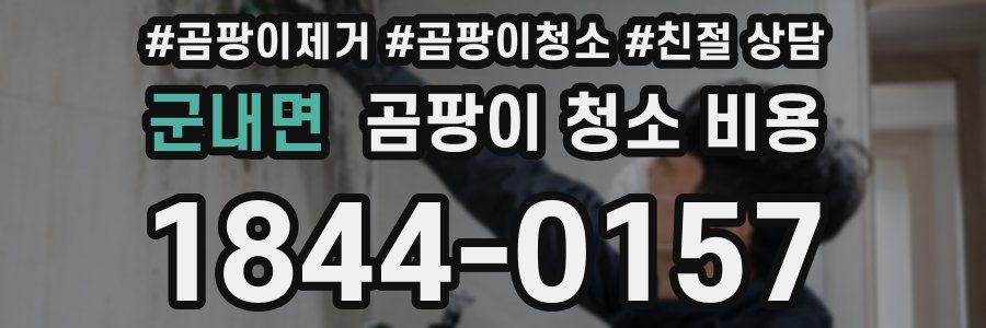 군내면 곰팡이 청소 비용