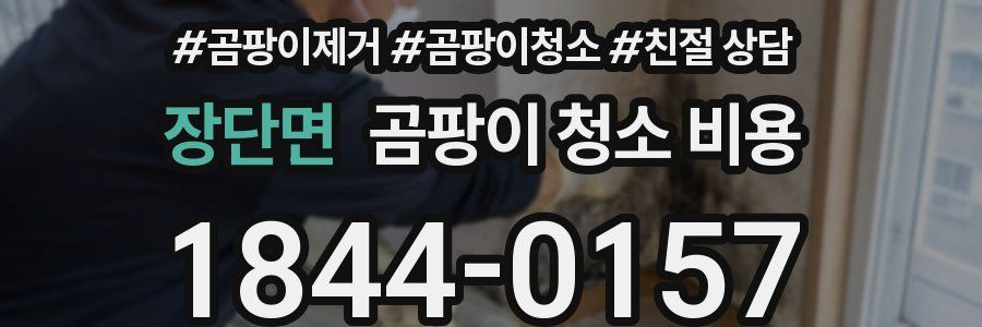장단면 곰팡이 청소 비용
