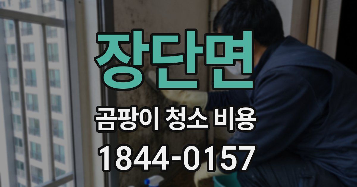 장단면 곰팡이 청소 비용