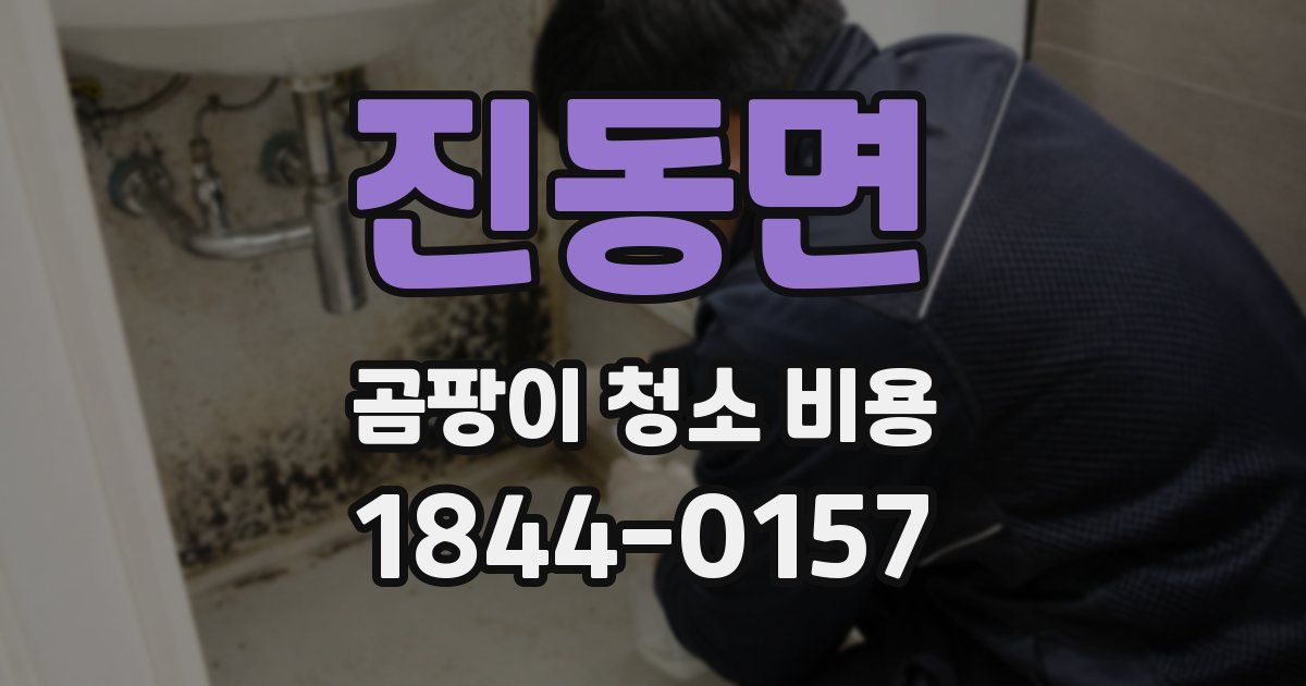 진동면 곰팡이 청소 비용