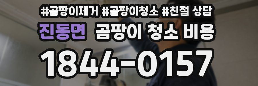 진동면 곰팡이 청소 비용