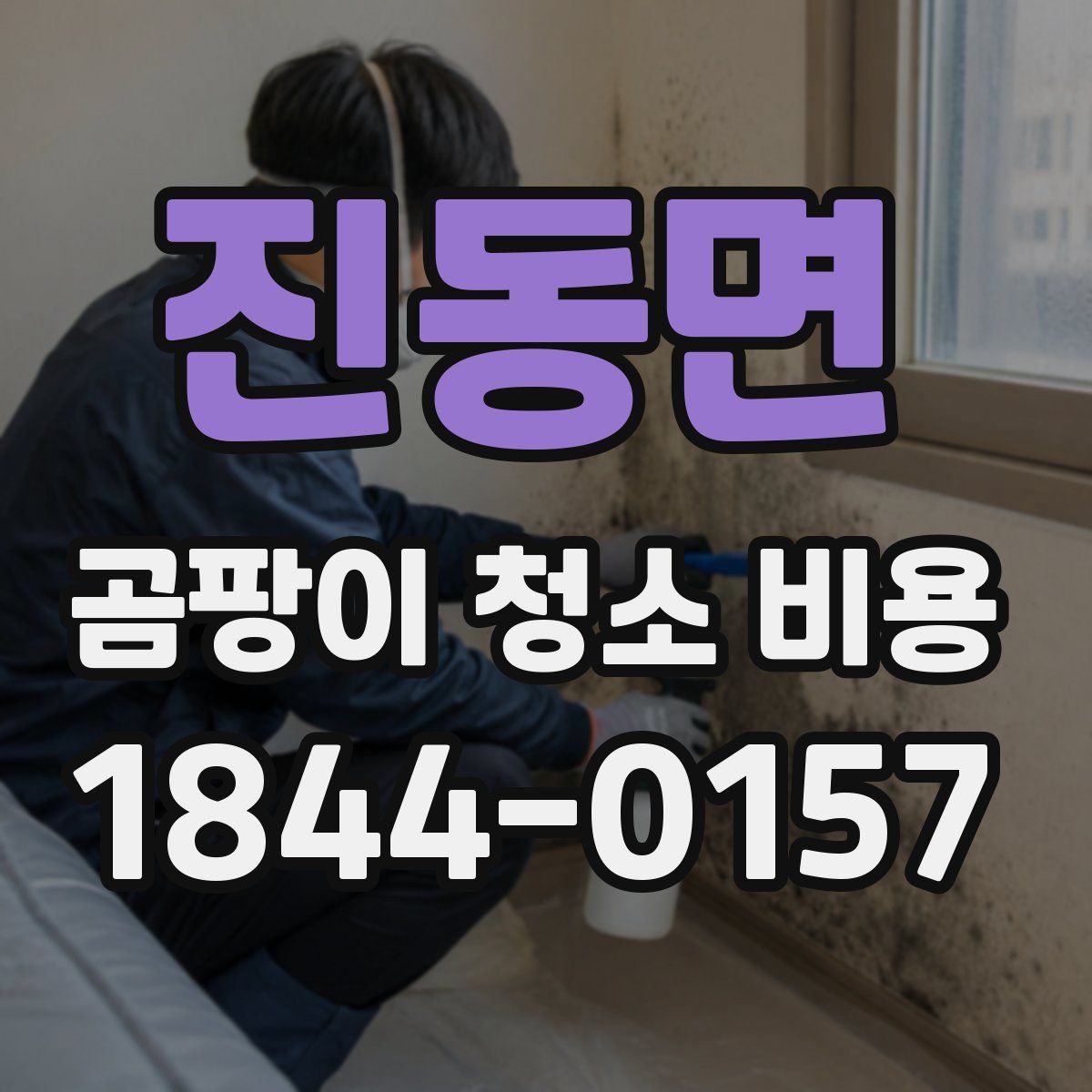 진동면 곰팡이 청소 비용