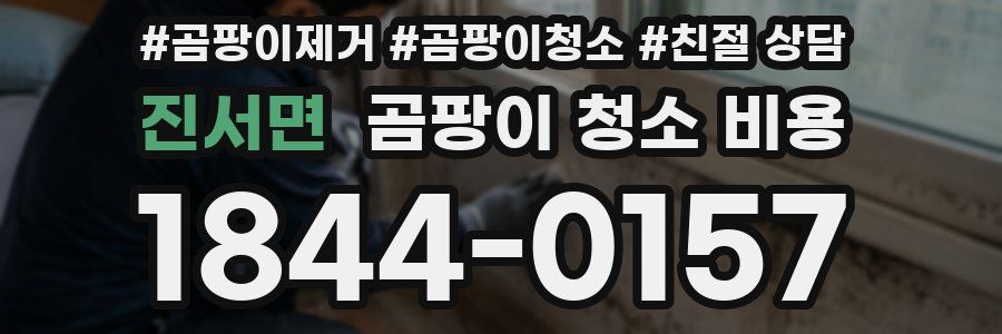 진서면 곰팡이 청소 비용
