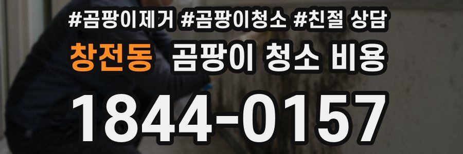 창전동 곰팡이 청소 비용