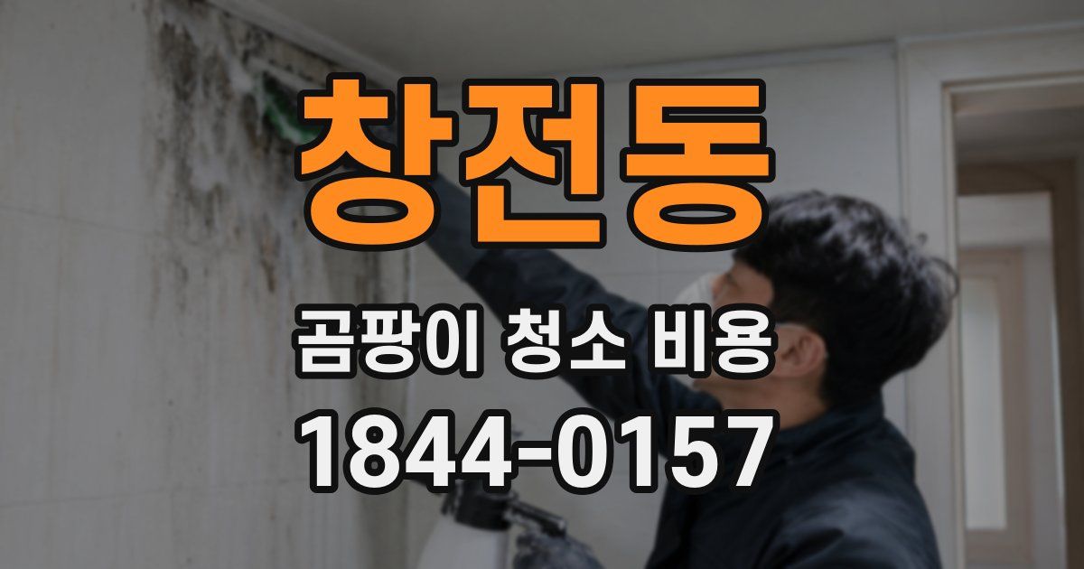 창전동 곰팡이 청소 비용
