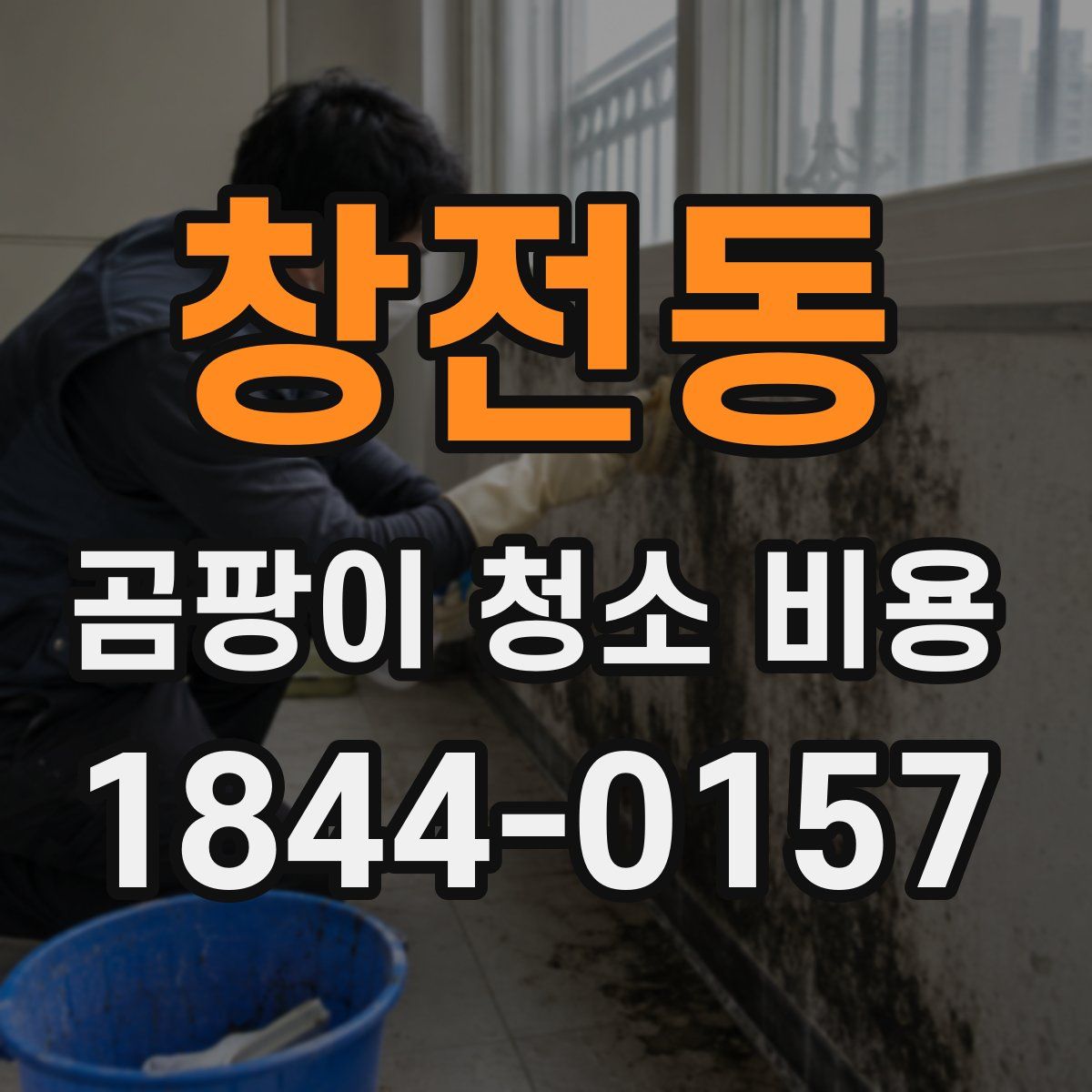 창전동 곰팡이 청소 비용