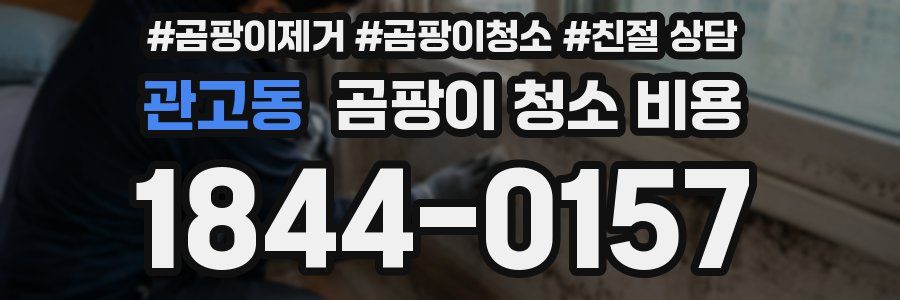 관고동 곰팡이 청소 비용