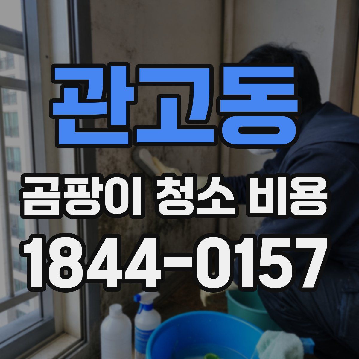 관고동 곰팡이 청소 비용