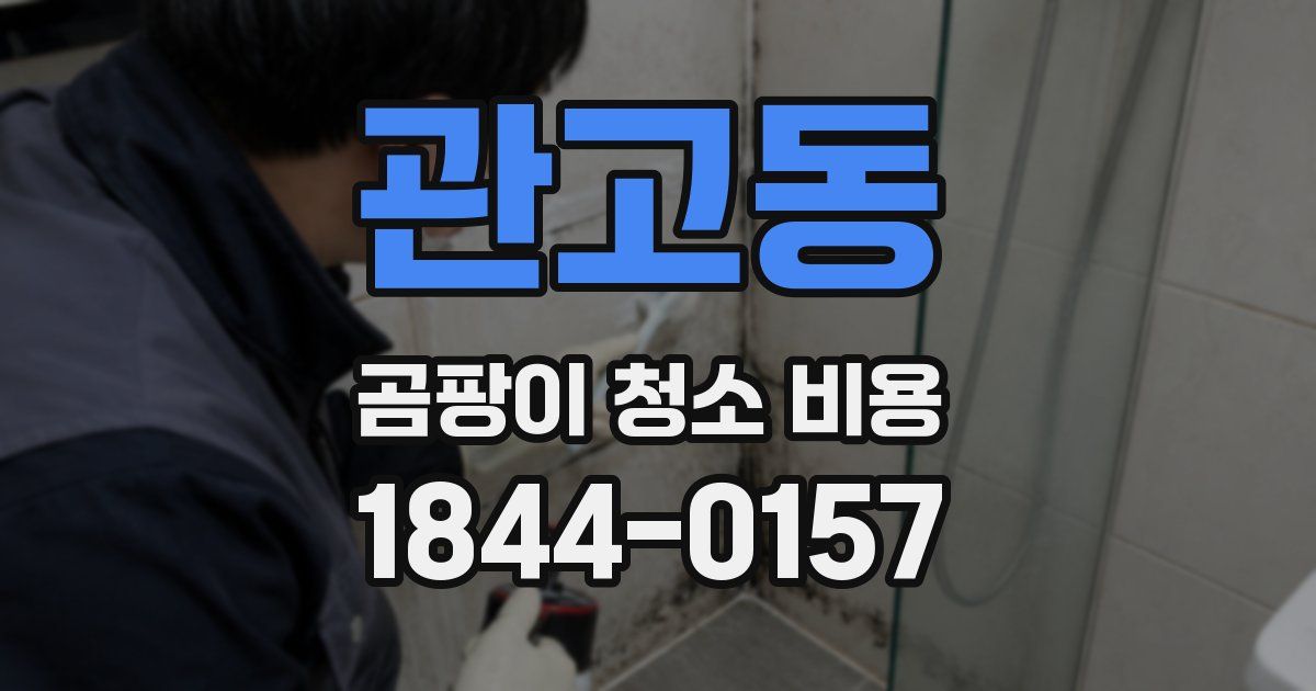 관고동 곰팡이 청소 비용