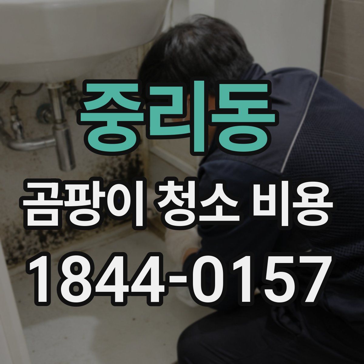 중리동 곰팡이 청소 비용