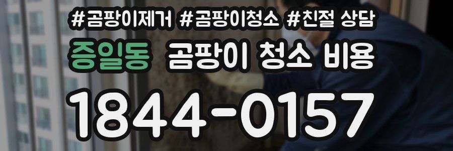 증일동 곰팡이 청소 비용
