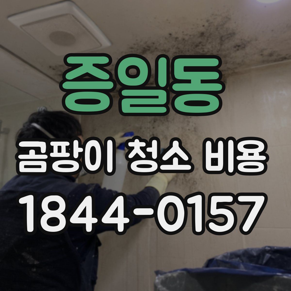 증일동 곰팡이 청소 비용