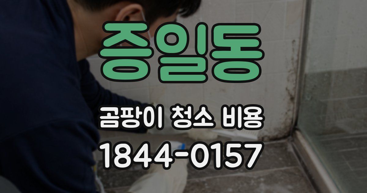 증일동 곰팡이 청소 비용