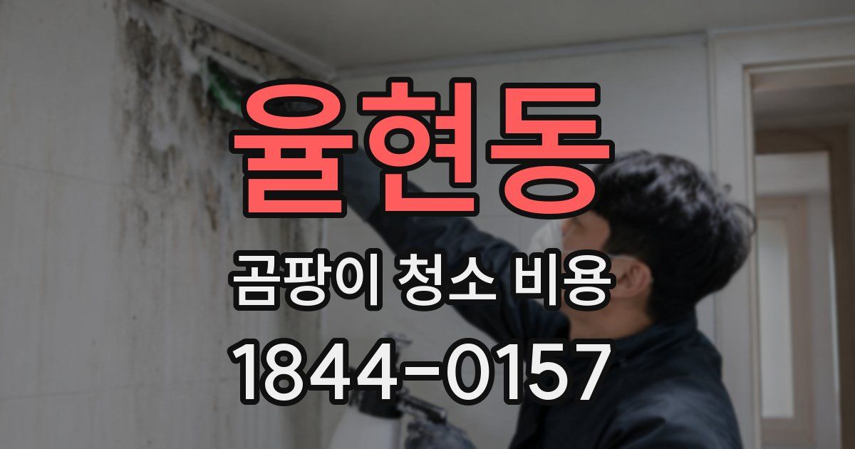 율현동 곰팡이 청소 비용