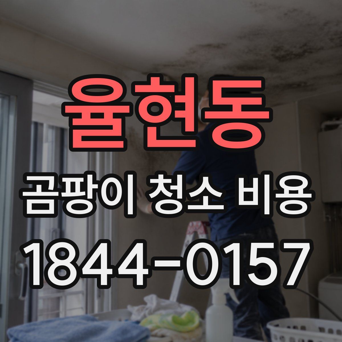 율현동 곰팡이 청소 비용