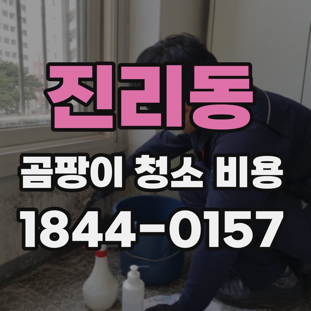 진리동 곰팡이 청소 비용