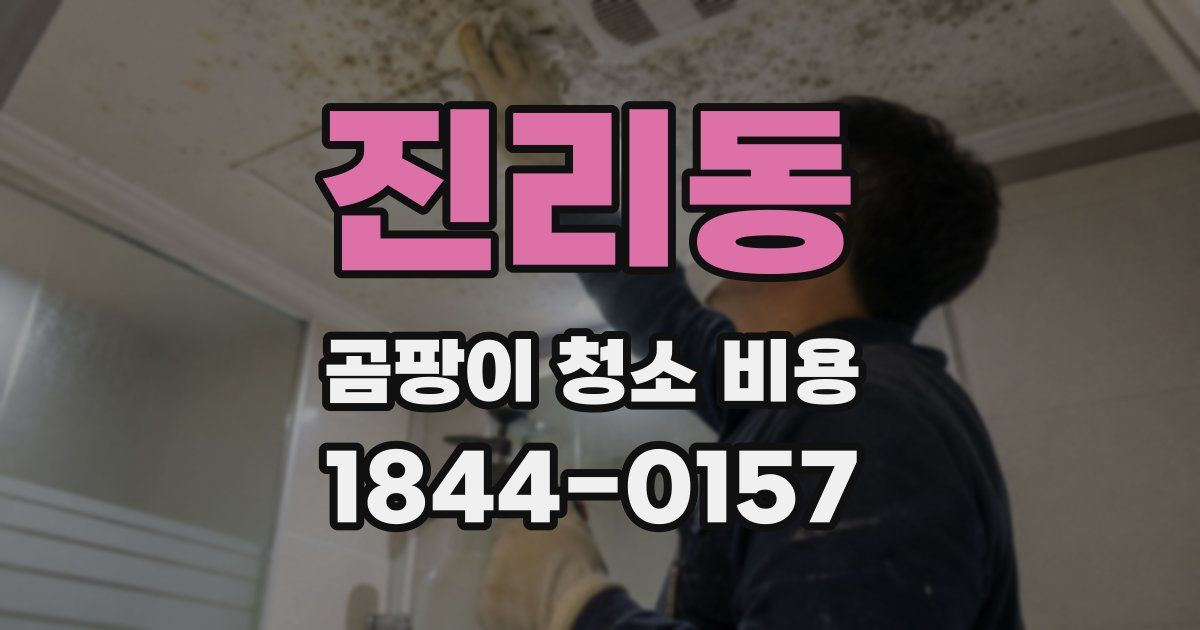 진리동 곰팡이 청소 비용
