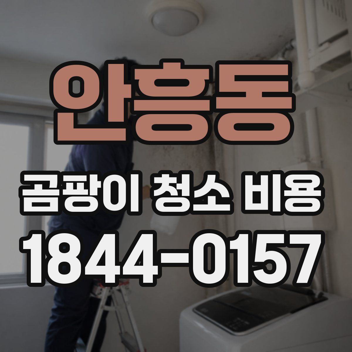 안흥동 곰팡이 청소 비용