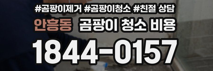 안흥동 곰팡이 청소 비용