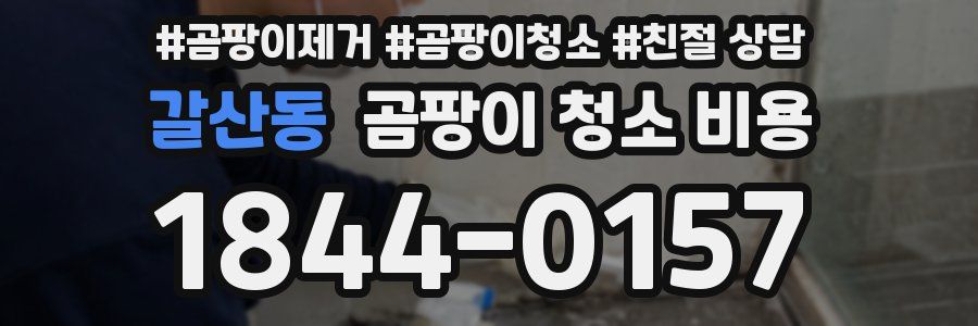 갈산동 곰팡이 청소 비용