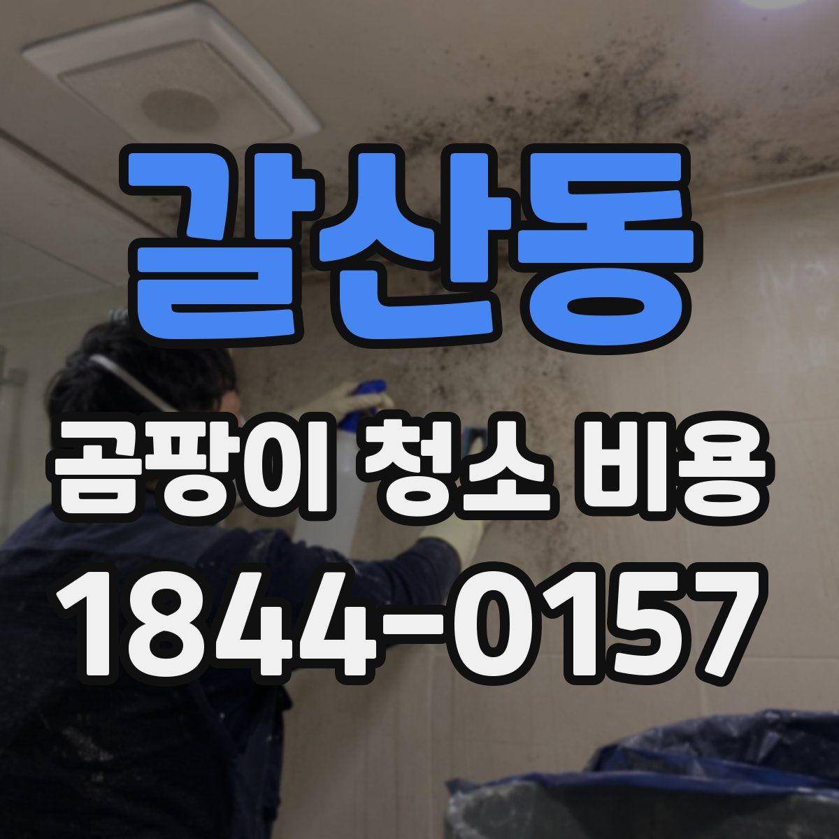 갈산동 곰팡이 청소 비용