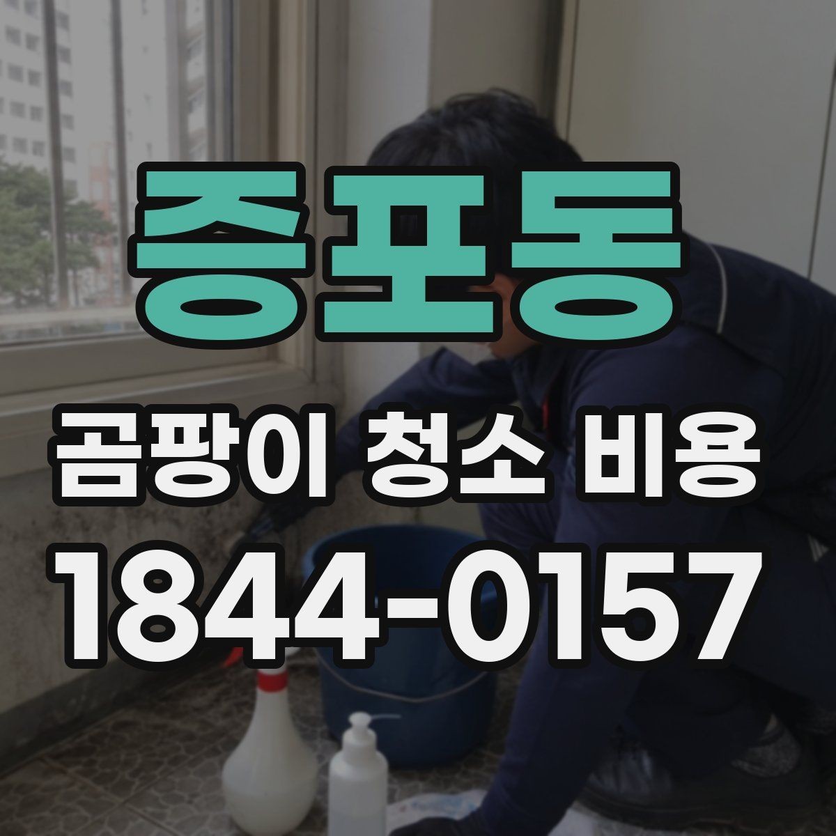 증포동 곰팡이 청소 비용 비교할 때 놓치면 안 되는 항목