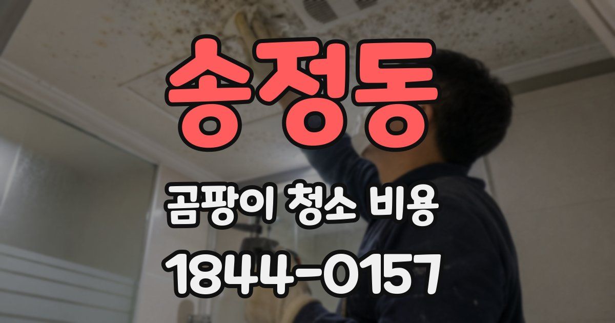 송정동 곰팡이 청소 비용