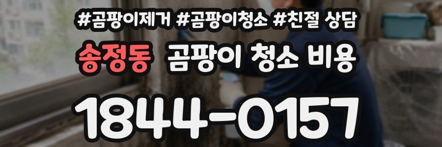 송정동 곰팡이 청소 비용